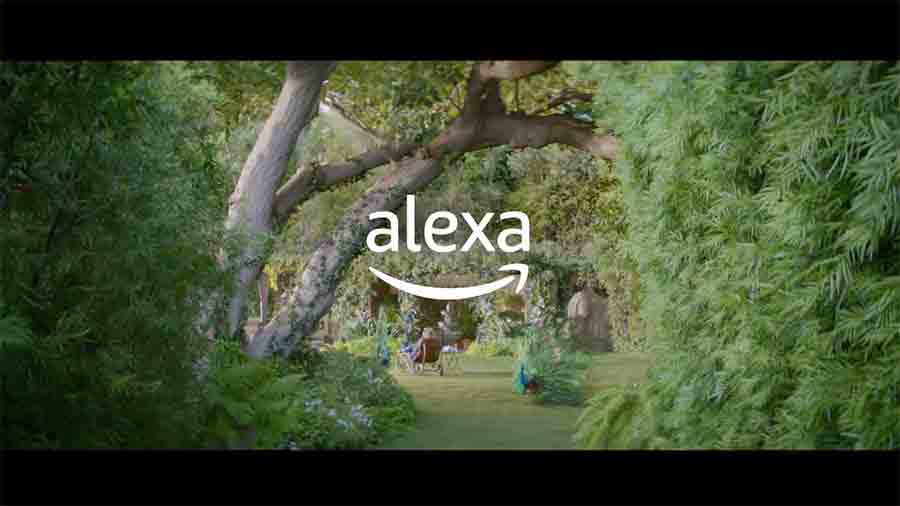 Alexa Loses Her Voice Branding And Digital Marketing 